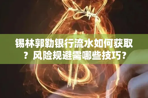 锡林郭勒银行流水如何获取?风险规避需哪些技巧?