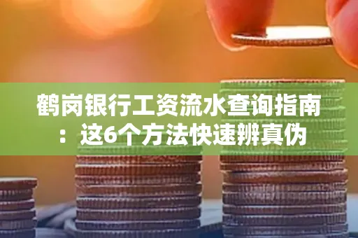 鹤岗银行工资流水查询指南:这6个方法快速辨真伪