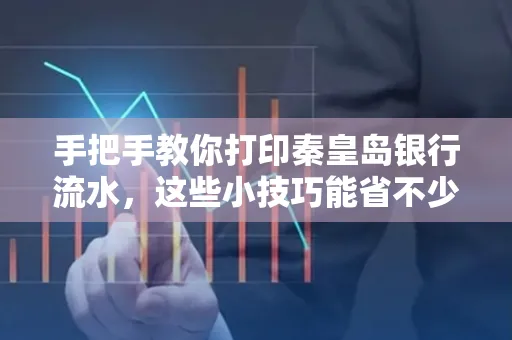 手把手教你打印秦皇岛银行流水,这些小技巧能省不少事