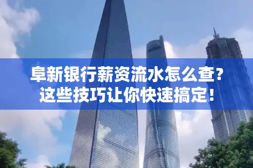 阜新银行薪资流水怎么查?这些技巧让你快速搞定!