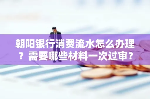 朝阳银行消费流水怎么办理?需要哪些材料一次过审?