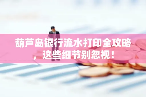 葫芦岛银行流水打印全攻略,这些细节别忽视!