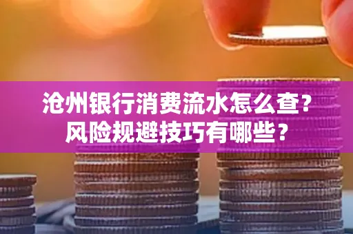 沧州银行消费流水怎么查?风险规避技巧有哪些?