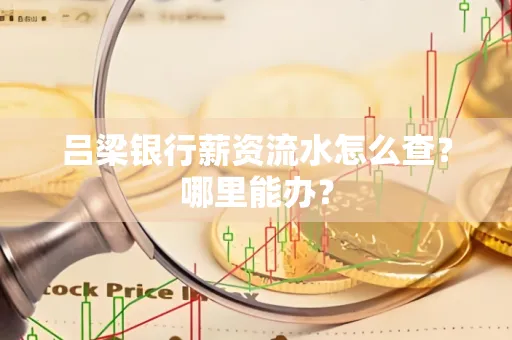 吕梁银行薪资流水怎么查？哪里能办？