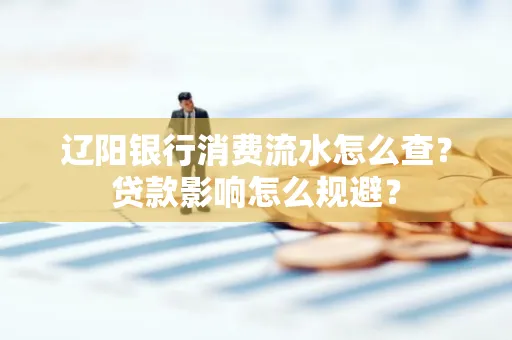 辽阳银行消费流水怎么查？贷款影响怎么规避？