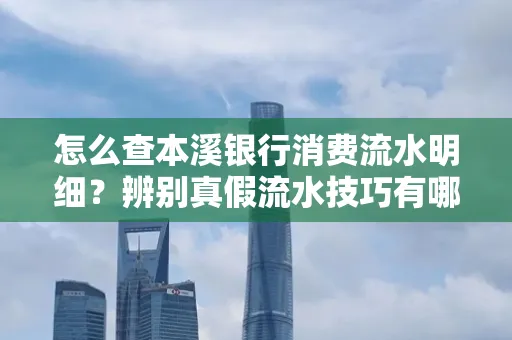 怎么查本溪银行消费流水明细?辨别真假流水技巧有哪些?