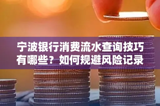 宁波银行消费流水查询技巧有哪些?如何规避风险记录?