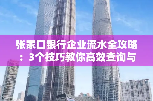 张家口银行企业流水全攻略：3个技巧教你高效查询与风险规避