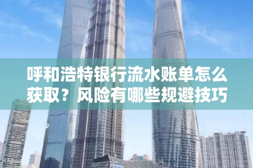 呼和浩特银行流水账单怎么获取？风险有哪些规避技巧！