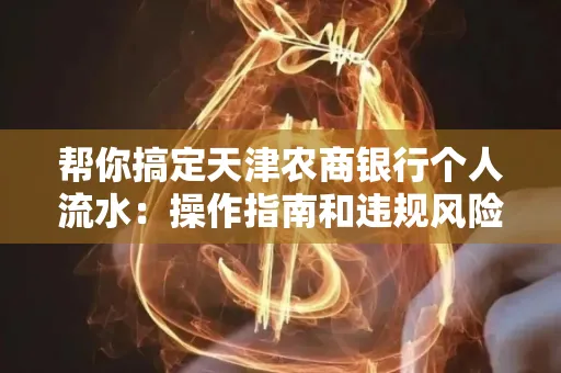 帮你搞定天津农商银行个人流水：操作指南和违规风险避坑攻略