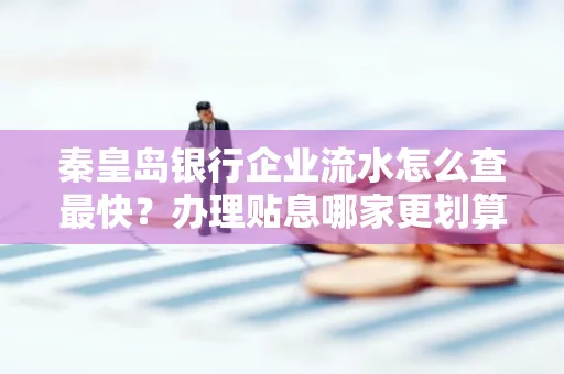 秦皇岛银行企业流水怎么查最快?办理贴息哪家更划算?
