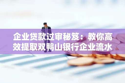 企业贷款过审秘笈:教你高效提取双鸭山银行企业流水