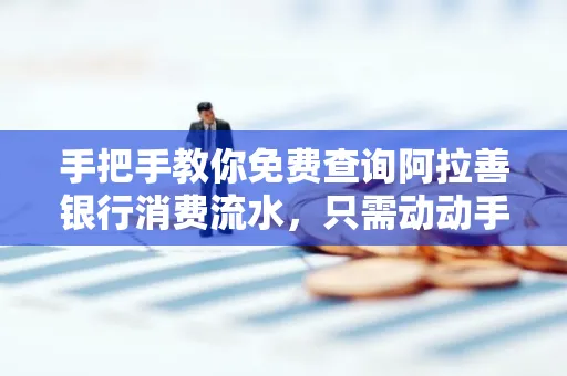 手把手教你免费查询阿拉善银行消费流水,只需动动手指就能完成