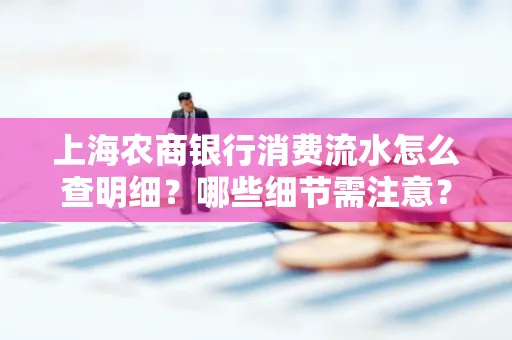 上海农商银行消费流水怎么查明细?哪些细节需注意?