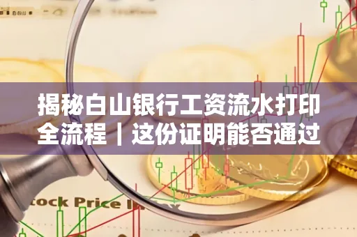 揭秘白山银行工资流水打印全流程|这份证明能否通过审核?