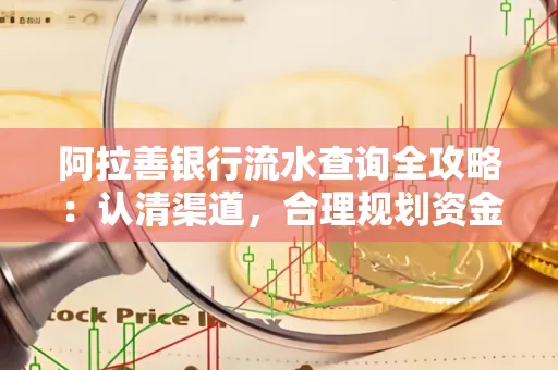 阿拉善银行流水查询全攻略:认清渠道,合理规划资金流动技巧