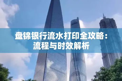 盘锦银行流水打印全攻略:流程与时效解析