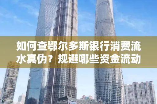 如何查鄂尔多斯银行消费流水真伪?规避哪些资金流动风险?防范要点解析