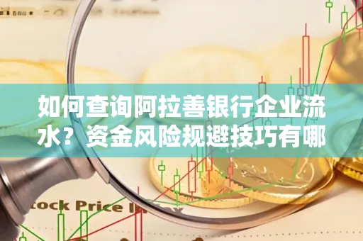 如何查询阿拉善银行企业流水?资金风险规避技巧有哪些?