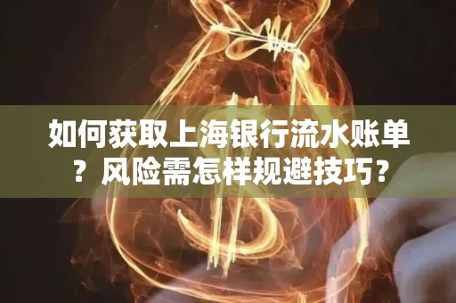 如何获取上海银行流水账单?风险需怎样规避技巧?