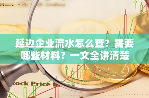 延边企业流水怎么查?需要哪些材料?一文全讲清楚