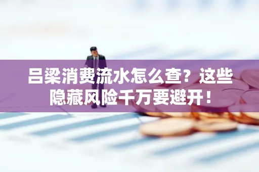 吕梁消费流水怎么查?这些隐藏风险千万要避开!