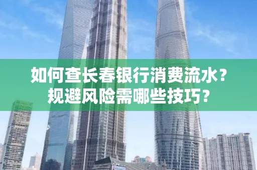 如何查长春银行消费流水?规避风险需哪些技巧?