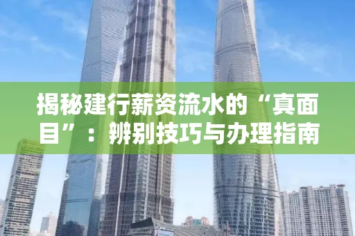 揭秘建行薪资流水的“真面目”:辨别技巧与办理指南大公开