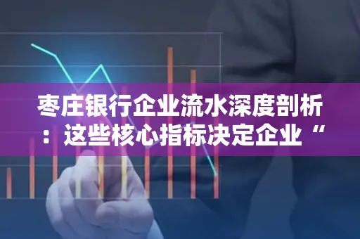 枣庄银行企业流水深度剖析:这些核心指标决定企业“钱袋子”健康度
