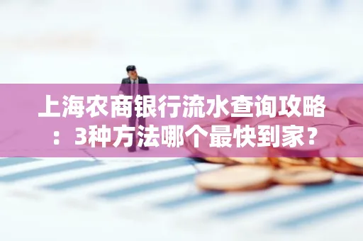 上海农商银行流水查询攻略:3种方法哪个最快到家?
