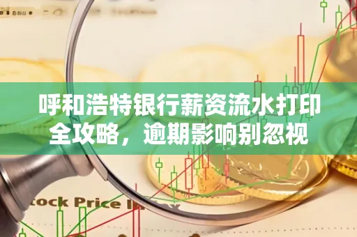 呼和浩特银行薪资流水打印全攻略,逾期影响别忽视