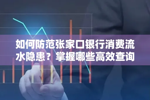 如何防范张家口银行消费流水隐患?掌握哪些高效查询技巧?