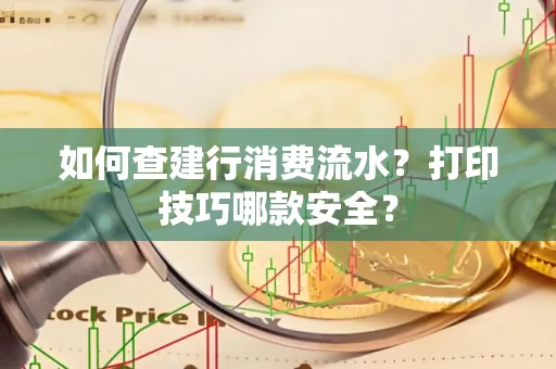 如何查建行消费流水?打印技巧哪款安全?